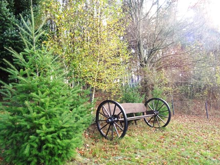 Bank off de Road im Garten ganz oben